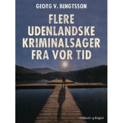 Flere udenlandske kriminalsager fra vor tid