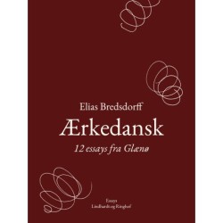 Ærkedansk. 12 essays fra Glænø