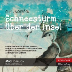 Schneesturm über der Insel