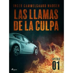 Las llamas de la culpa - Capítulo 1