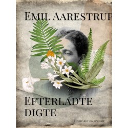 Efterladte digte
