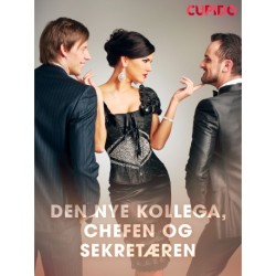 Den nye kollega, chefen og sekretæren