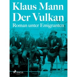 Der Vulkan. Roman unter Emigranten