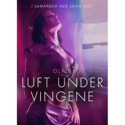Luft under vingene - erotisk novelle