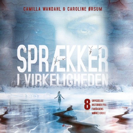 Sprækker i virkeligheden