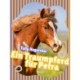 Ein Traumpferd fu&-776-r Petra