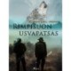 Rimpisuon usvapatsas