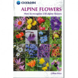 Alpine Flowers