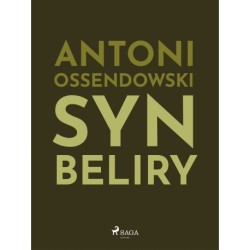 Syn Beliry