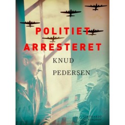 Politiet arresteret