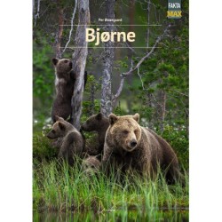 Bjørne