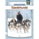 Slædehunde