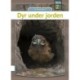 Dyr under jorden
