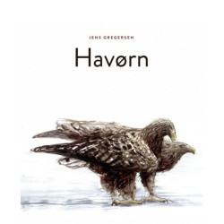Havørn