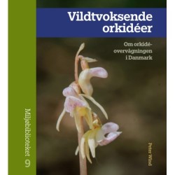 Vildtvoksende orkidéer: Om orkidéovervågningen i Danmark