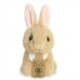 Eco Nation Mini Bunny