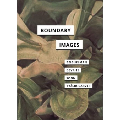 Boundary Images