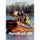 Hunde på job