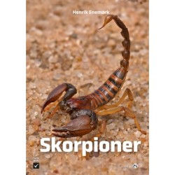 Skorpioner