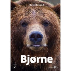 Bjørne