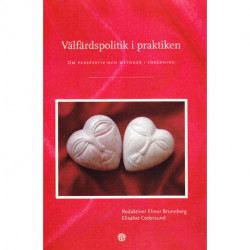 Välfärdspolitik i praktiken: Om perspektiv och metoder i forskning