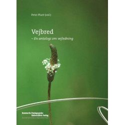 Vejbred: en antologi om vejledning