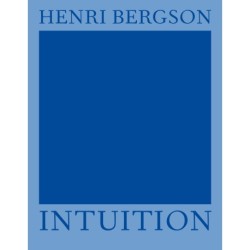 Intuition: Introduktion til metafysikken