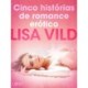 Cinco histórias de romance erótico