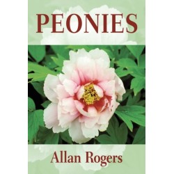 Peonies