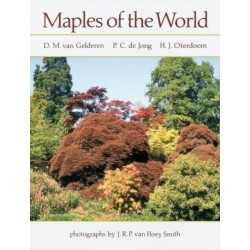 Maples of the World