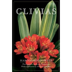 Clivias