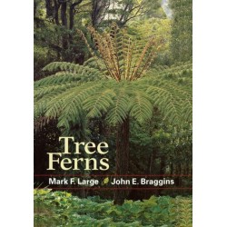 Tree Ferns
