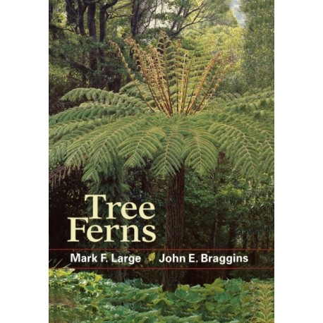 Tree Ferns