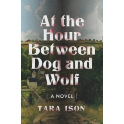 At the Hour Between Dog and Wolf: A Novel