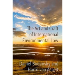 The Art and Craft of International Environmental Law