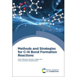 Methods and Strategies for C–N Bond Formation Reactions