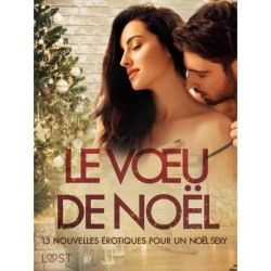 Le Vœu de Noël: 13 nouvelles érotiques pour un Noël sexy