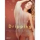 Dripping: A Collection of Erotica for a Rainy Autumn Day on the Couch with a Blanket