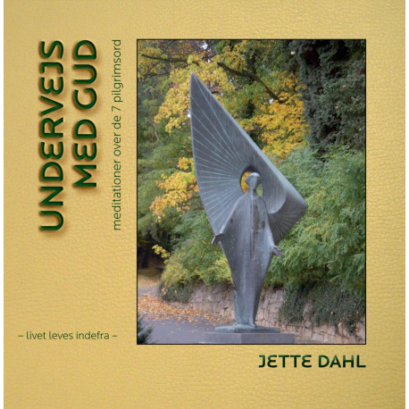 Undervejs med Gud: meditationer over de 7 pilgrimsord