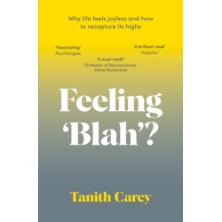 Feeling 'Blah'?: Why Life Feels Joyless and How to Recapture Its Highs