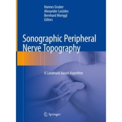 Sonographic Peripheral Nerve Topography: A Landmark-based Algorithm