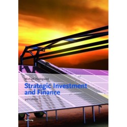 Strategic Investment and Finance