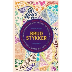 Brudstykker: Noveller til unge