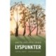 Lyspunkter
