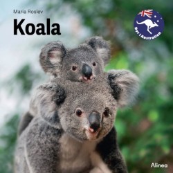 Koala, Grøn Fagklub
