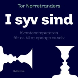 I syv sind: Kvantecomputeren får os til at opdage os selv