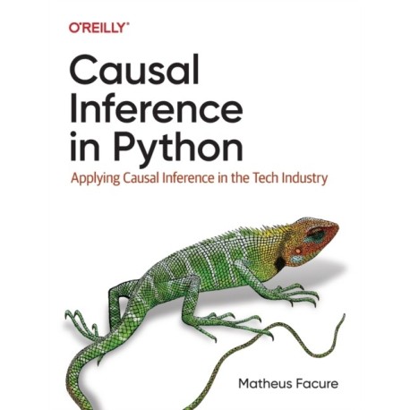 Causal Inference in Python: Applying Causal Inference in the Tech Industry