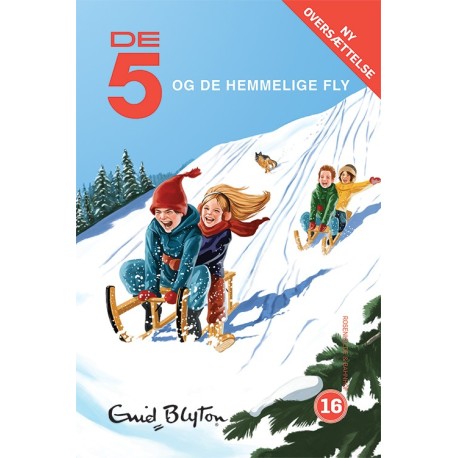 De 5 og de hemmelige fly