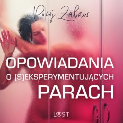 Pokój zabaw: opowiadania o (s)eksperymentujących parach