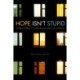 Hope Isn't Stupid: Utopian Affects in Contemporary American Literature